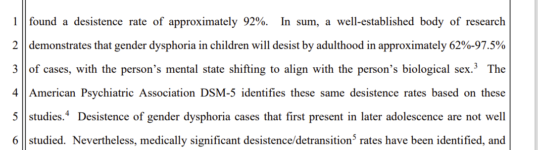 screenshot from Kayla Lovdahl’s lawsuit