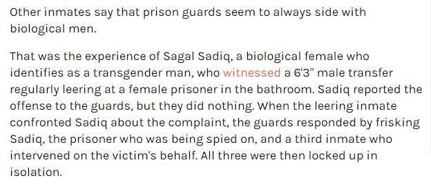 screenshot from the Washington Free Beacon