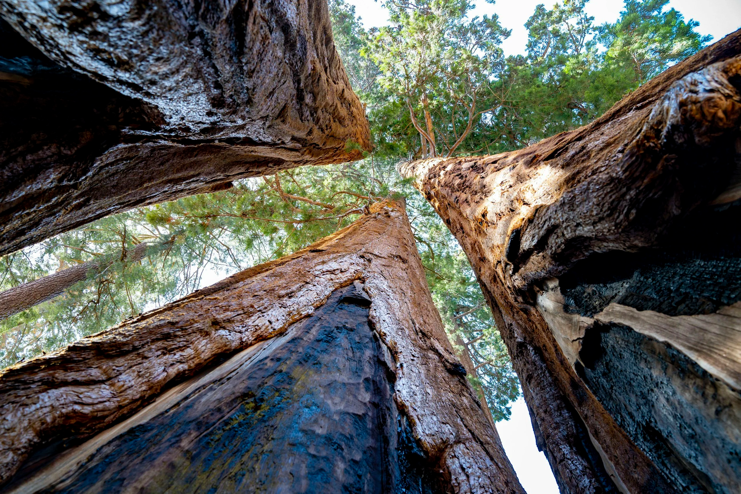 What Does it Mean to be Resilient?